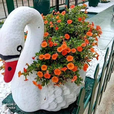 Apartament Georgelli